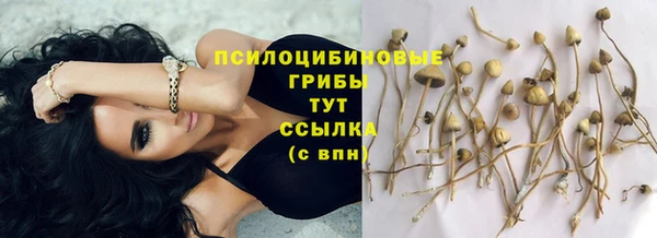скорость Арсеньев