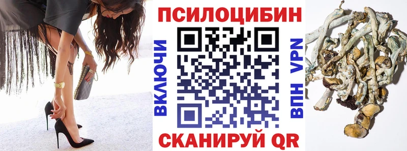 ОМГ ОМГ ONION  купить  сайты  Сельцо  Псилоцибиновые грибы мухоморы 